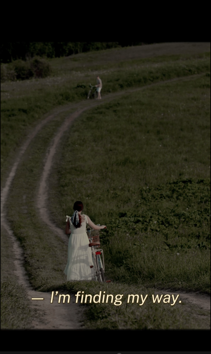 🎞️ TikTok/Reels Preview Version