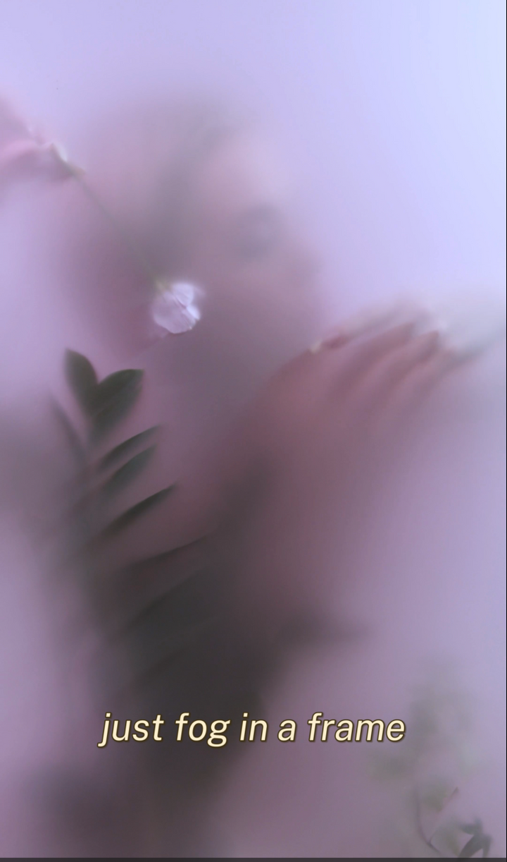 🎞️ TikTok/Reels Preview Version